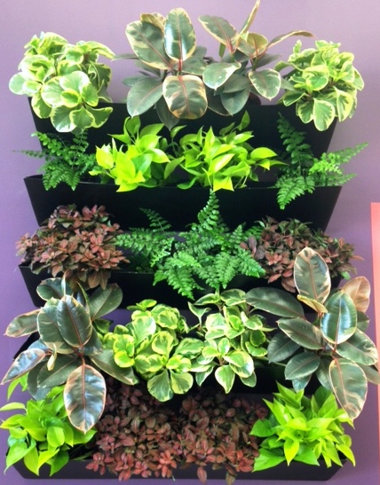 The latest and greatest in Green Walls!