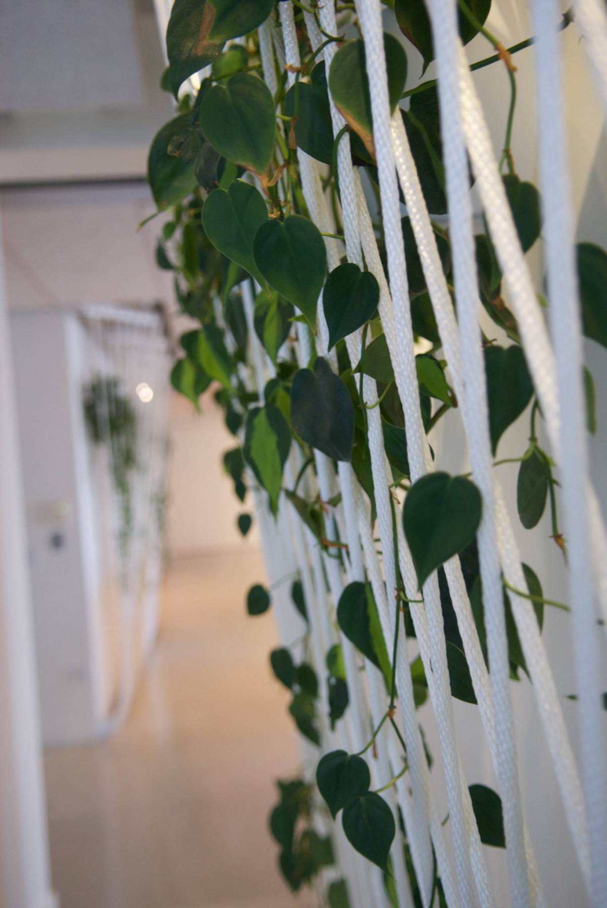 Sustainability and Green Efforts are Making a Difference!