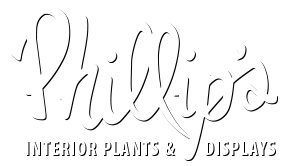 Phillip's Interior Plants & Displays