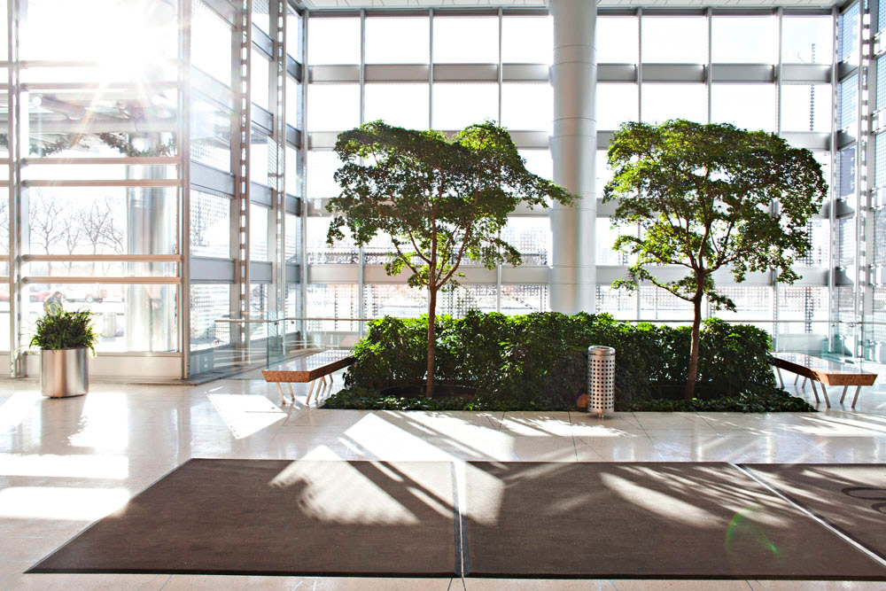 Plants Interior Phillips Plants Interior Phillips