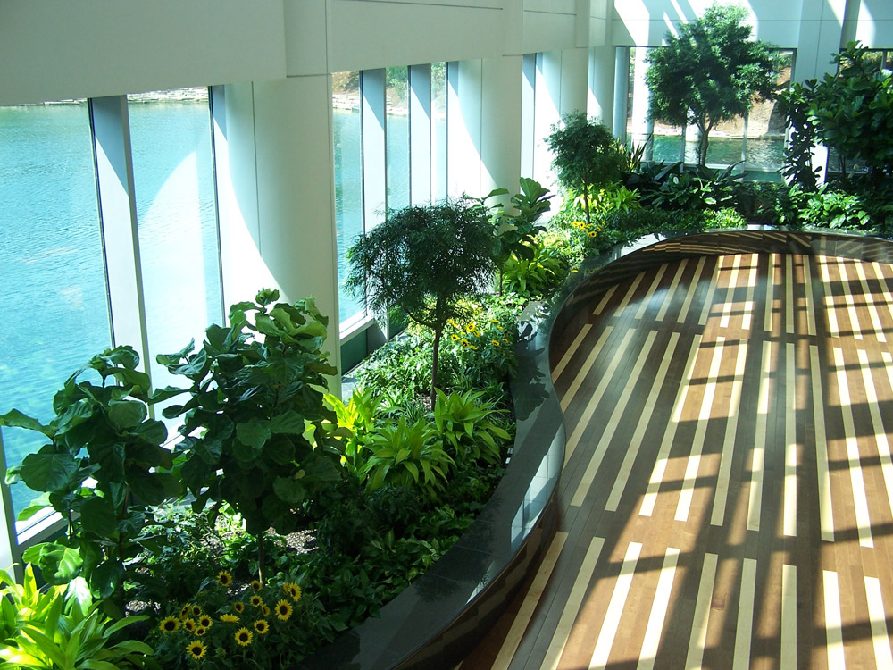 office greenery design boma15 office plant services and rentals phillips interior plants office greenery design boma15 office plant services and rentals phillips interior plants