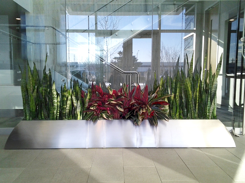Image Result For Good Plants For Office Image Result For Good Plants For Office