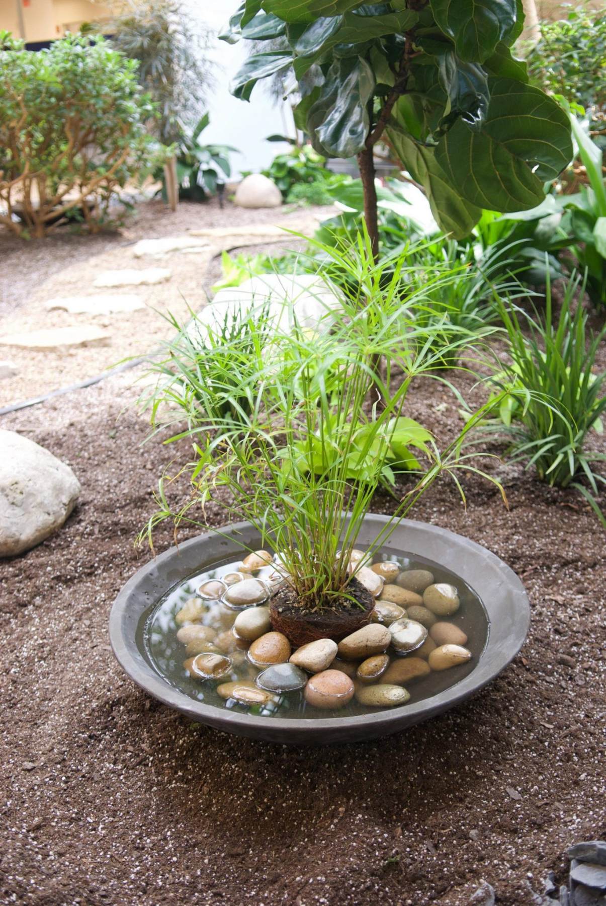 Newly improved atrium brings tranquility to the office!