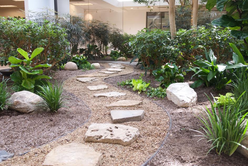 Newly improved atrium brings tranquility to the office!