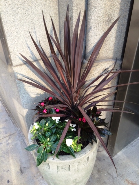 The Latest on New Installs!