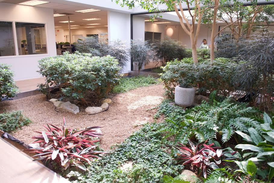 Newly improved atrium brings tranquility to the office!