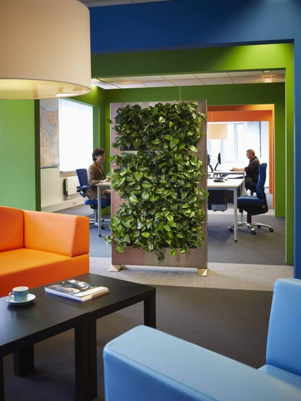 Sweet Plants, Suite Plants! Phillip�s Interior Plants