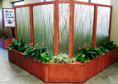 Interior Plants