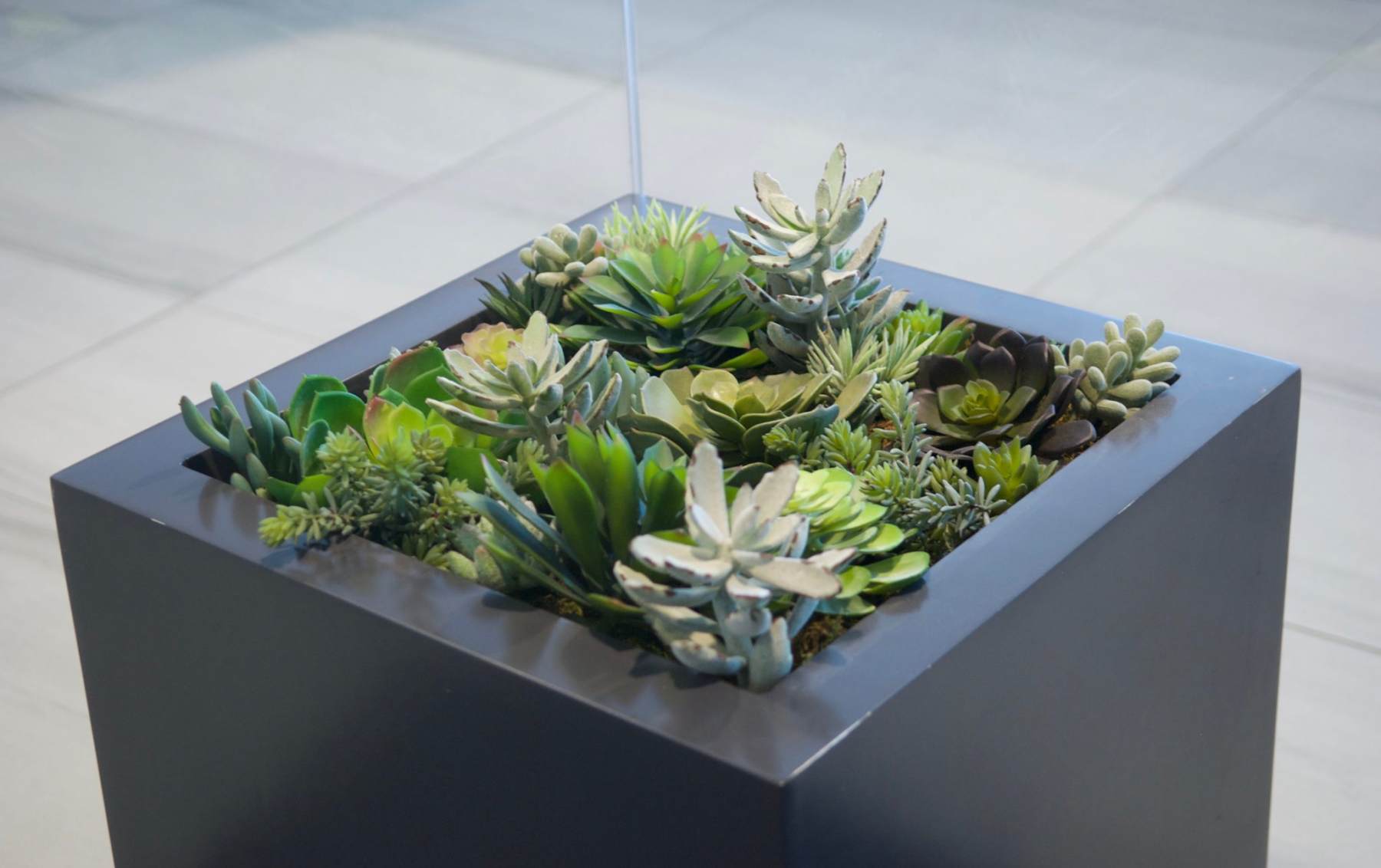 Silk Office Plants and Silk Flowers for Businesses Chicago & Suburbs