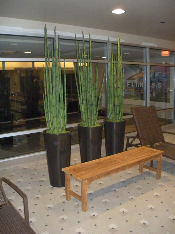 Silk Office Plants and Silk Flowers for Businesses Chicago & Suburbs