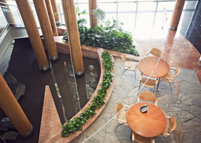 Interior Plants