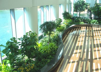 Interior Plants