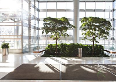 Interior Plants