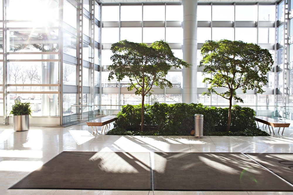 Interior Plant Services Phillip's Interior Plants & Displays