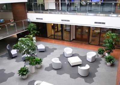 Interior Plants