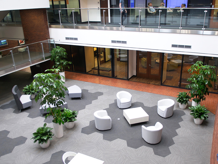 Interior Plant Services Phillip's Interior Plants & Displays