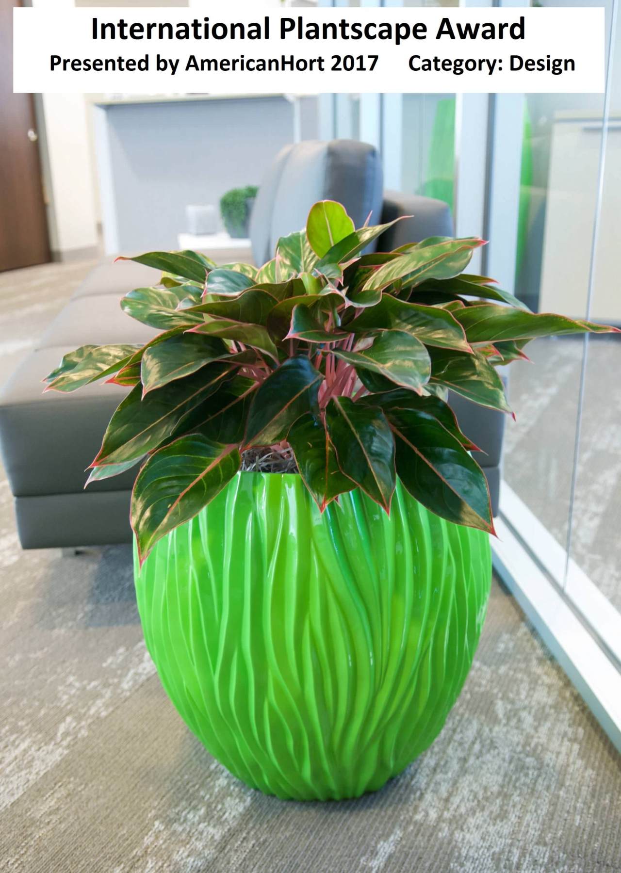 AmericanHort recognizes Phillip's for our design work!