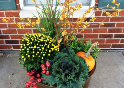 Exterior & Seasonal