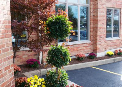 Exterior & Seasonal