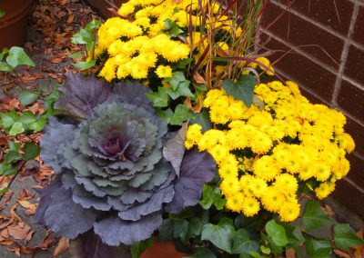Exterior & Seasonal