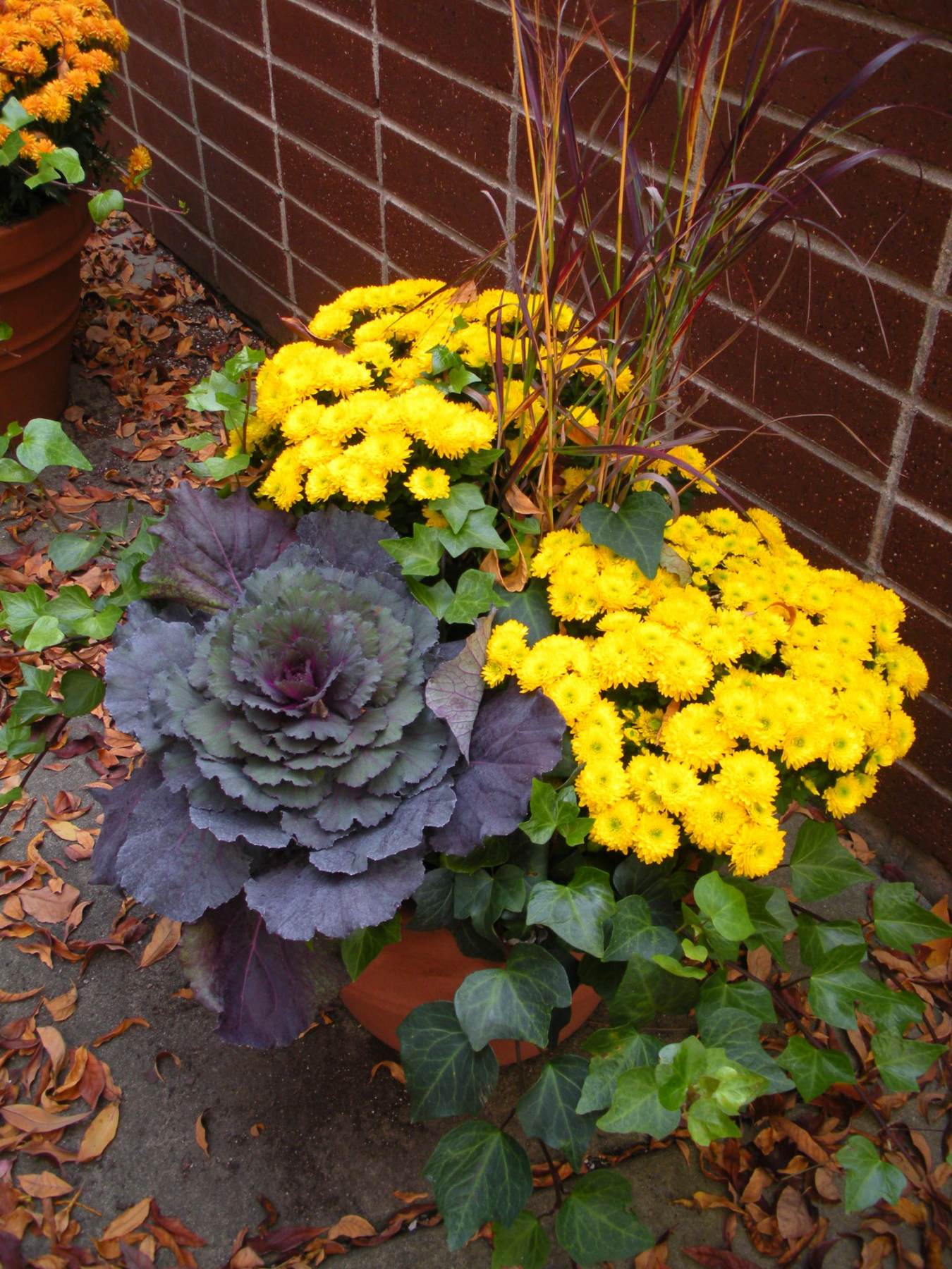 Stunning exterior displays and seasonal container plantings Phillips