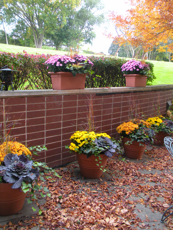 Stunning exterior displays and seasonal container plantings | Phillips ...