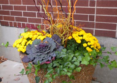 Exterior & Seasonal