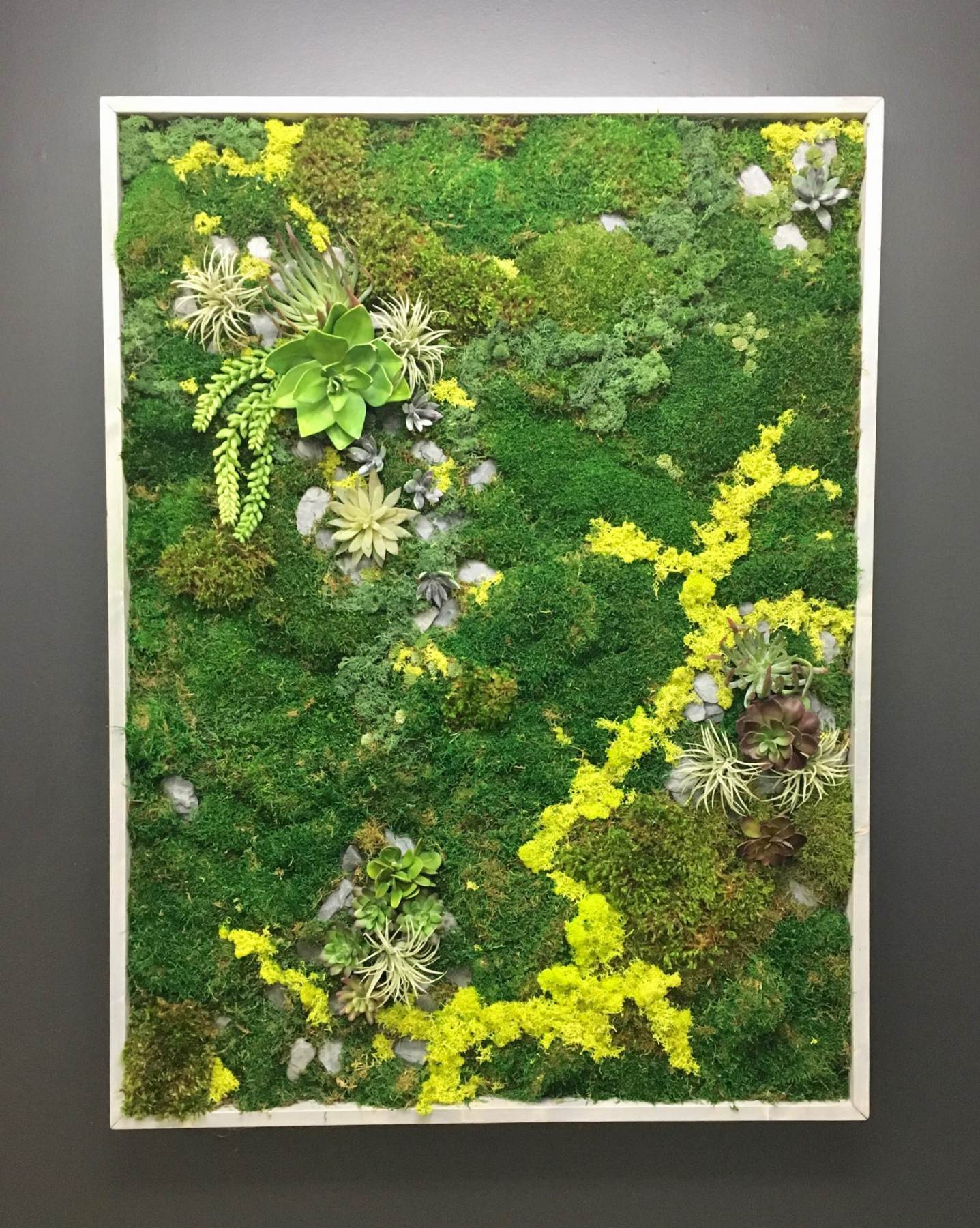 outdoor moss wall on Green Walls Living Walls Vertical Gardens Wall Gardens Phillip S Interior Plants Displays Chicago Il