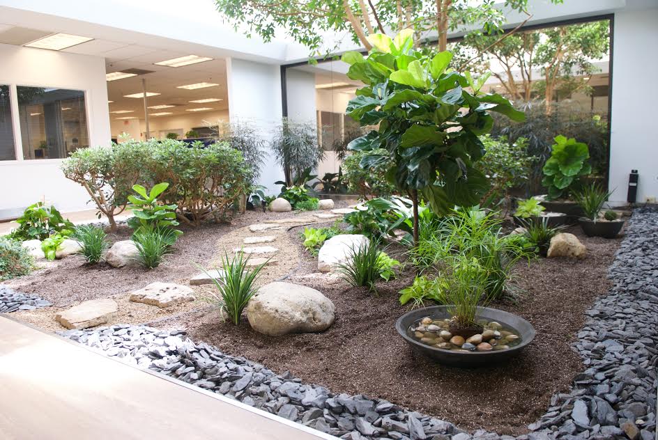 Newly improved atrium brings tranquility to the office!