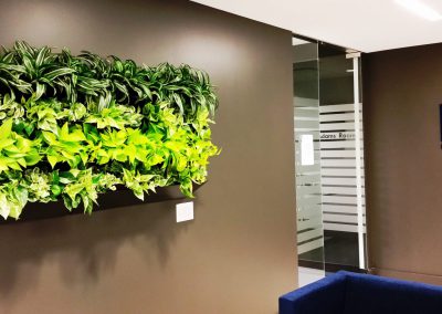 Green Walls