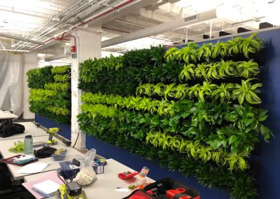 Green Walls