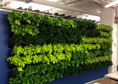 Green Walls