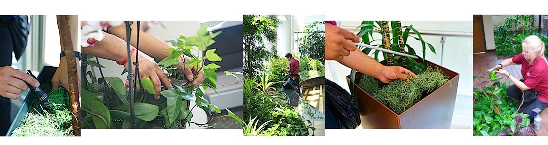 Phillip’s Horticultural Technicians