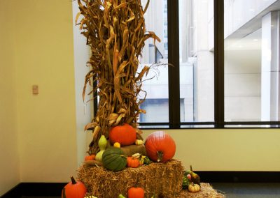 Exterior & Seasonal