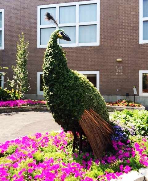 Cultivate 2017 Franklin Conservatory Photos!