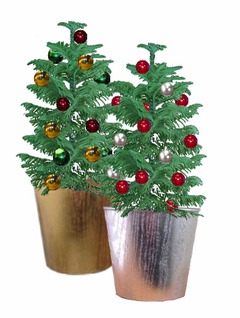 Tis The Season!