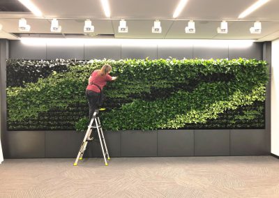 Green Walls