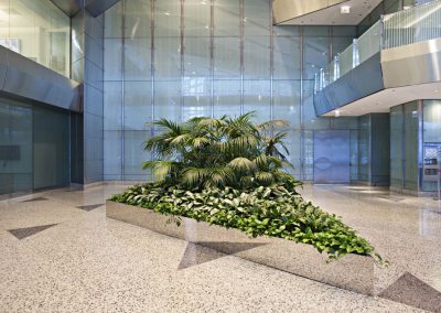 Interior Plants