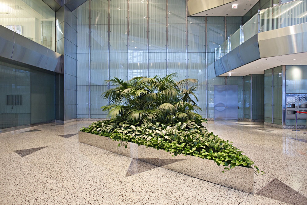 Interior office plants, plant services and plant rentals Phillip's