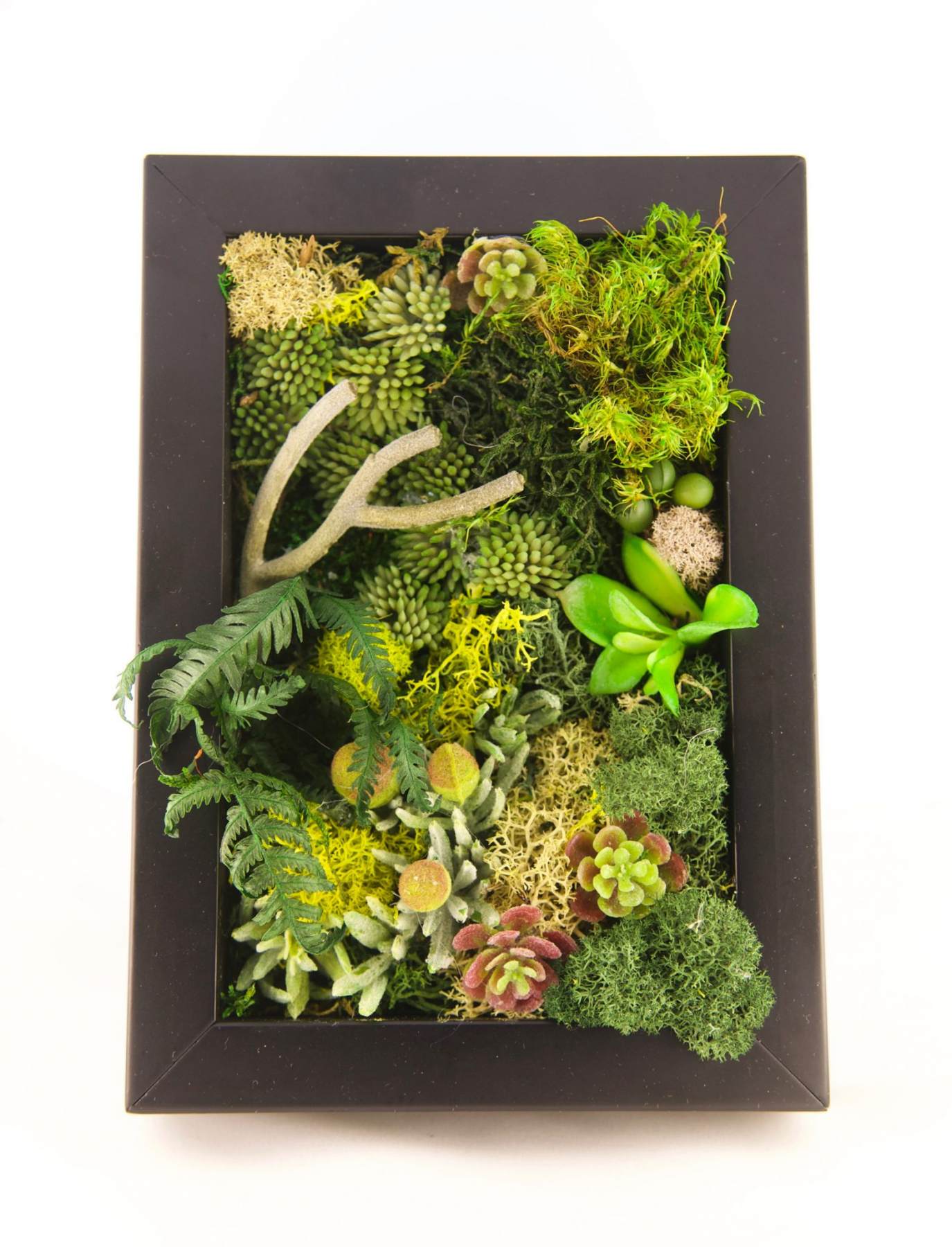 Green walls, living walls, vertical gardens, wall gardens