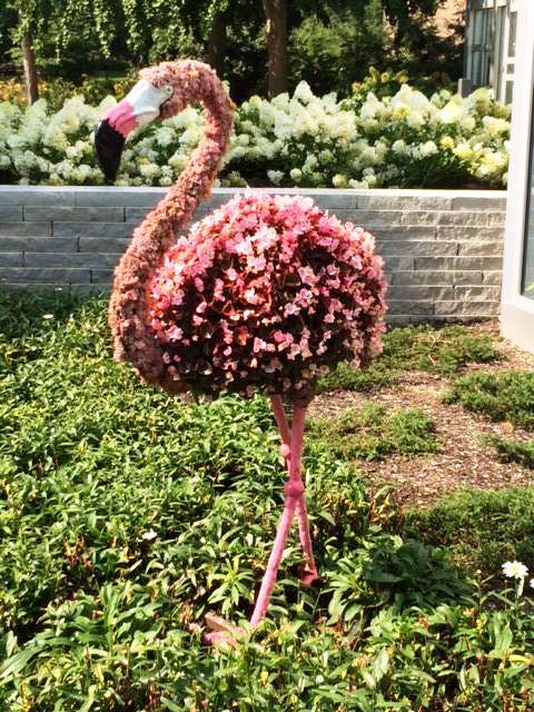 Cultivate 2017 Franklin Conservatory Photos!