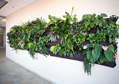 Green Walls