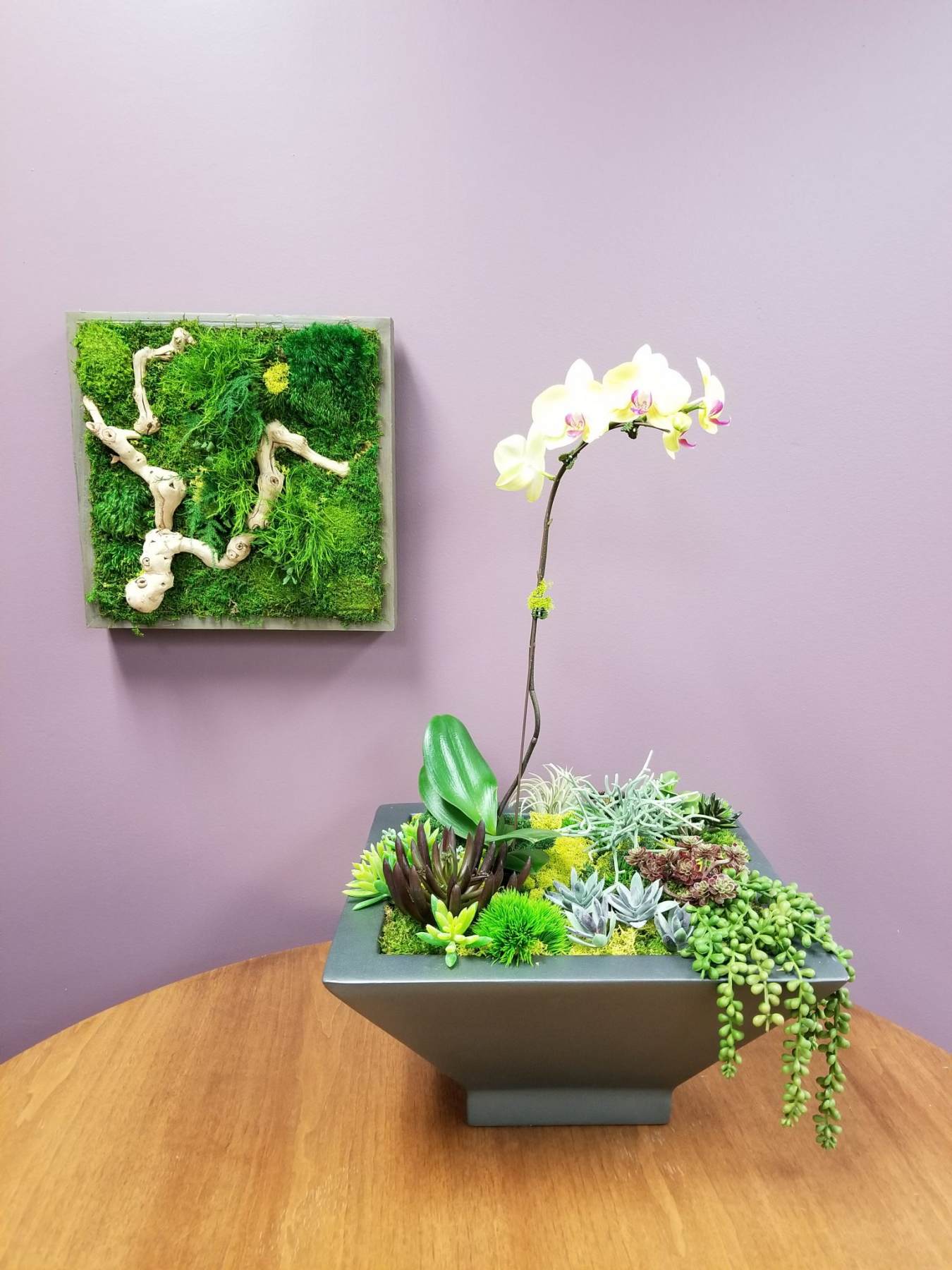 Silk Office Plants and Silk Flowers for Businesses Chicago & Suburbs