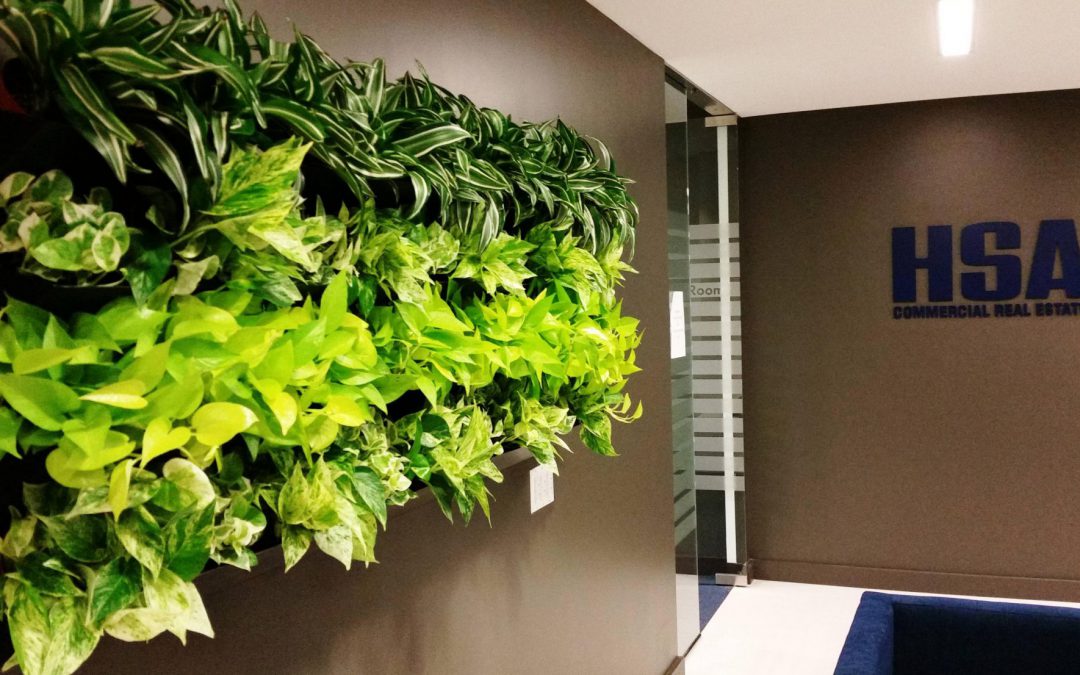 Green Walls, Moss Walls, Beautiful Art, Oh My!