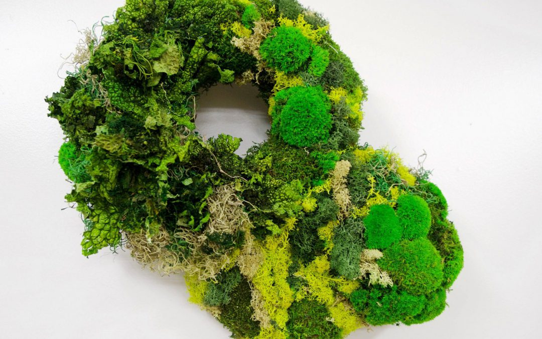 Obama Presidential Library and Moss Walls…