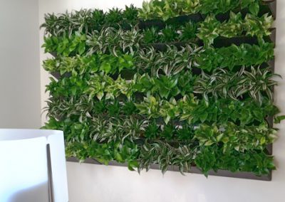 Green Walls