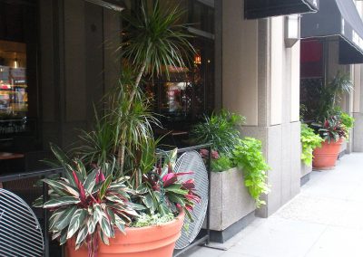Exterior & Seasonal