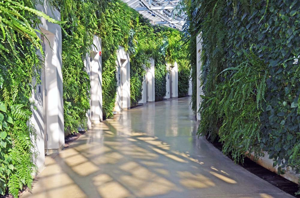 Interior Plantscape Symposium 2016