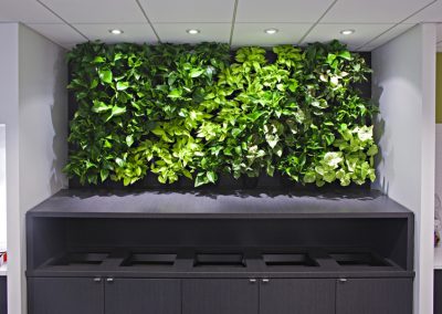 Green Walls