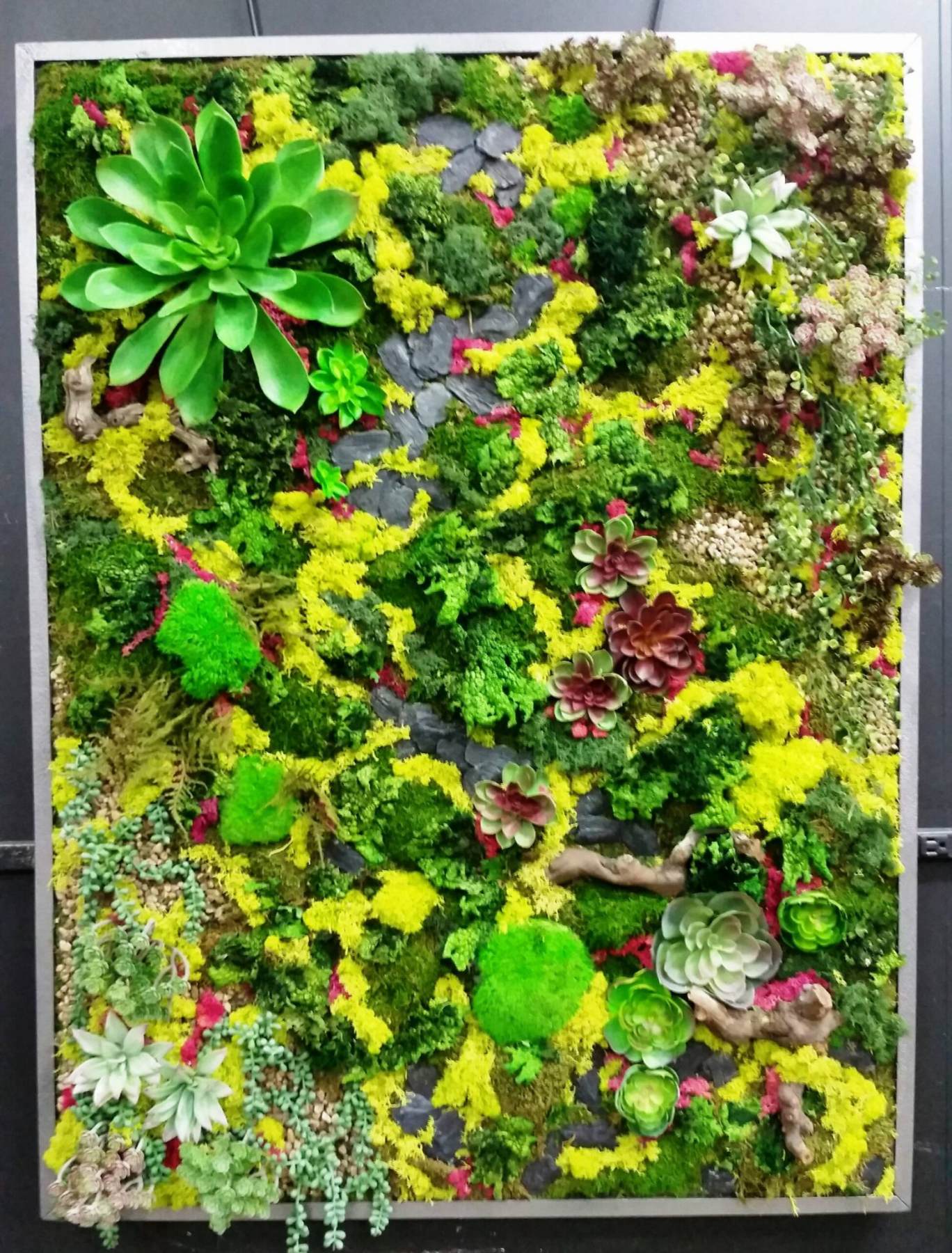 Green Walls, Moss Walls, Beautiful Art, Oh My!